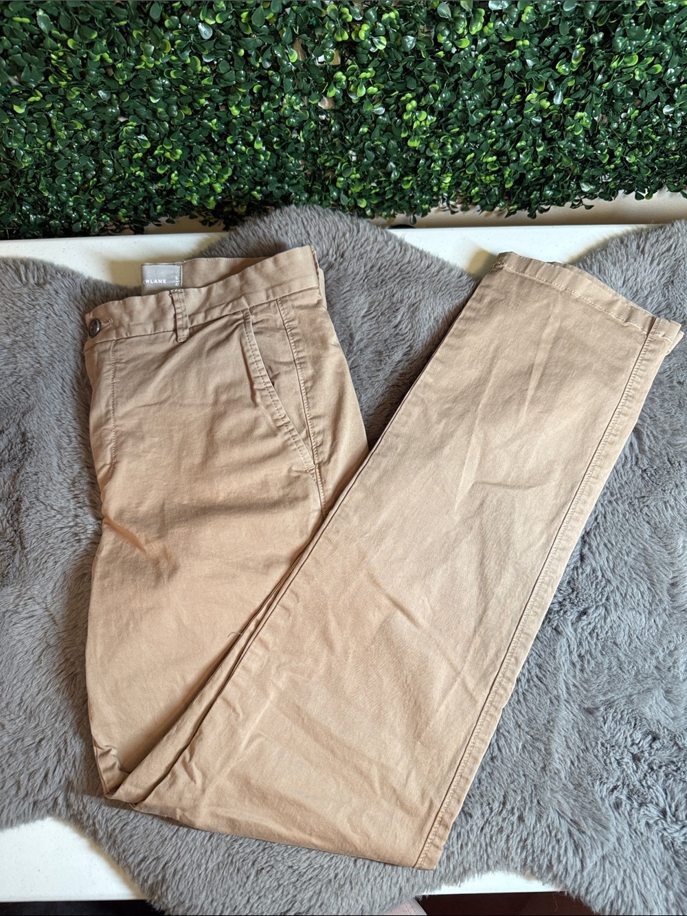 Everlane Men's Chino Pants in Tan